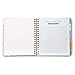 2019 Organized Chaos, 12 Month Daily Planners/Calendars: Tri-Coastal Design Planners with Monthly, Weekly and Daily Views - Personal Planner Notebook for Work or Home