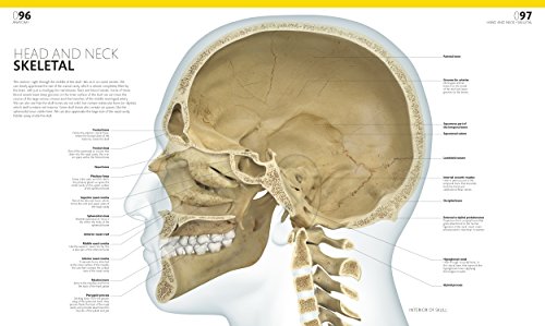 The Complete Human Body, 2nd Edition: The Definitive Visual Guide - Thumbnail 2