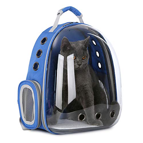 cat transparent backpack
