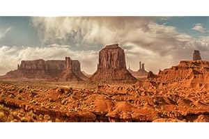 Pinpai 48X24 Inches Reptile Habitat Background, Western Mountain Cactus Desert Terrarium Background Decor,Sky Oasis Durable Polyester Background with 8 EVA Double-Sided Tapes