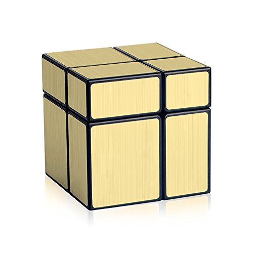 D-fantix shengshou mirror cube 2x2 speed unequal cube shape puzzl…