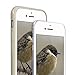 kwmobile Case Compatible with Apple iPhone SE (2022) / iPhone SE (2020) / iPhone 8 / iPhone 7 Case - Protective Slim TPU Phone Cover - Soft Matte Finish - Beige Matte