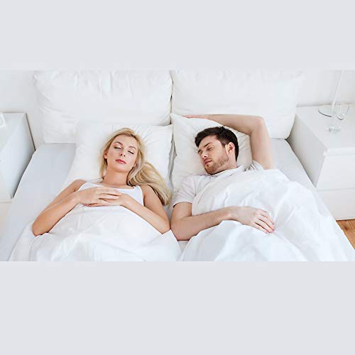 Hometex Canada Pillow Insert 10" X 10" Polyester Filled Standard Cover