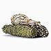 Juniper Ridge White Sage, Mugwort & Siskiyou Cedar Incense Bundle | Aromatherapy | No Synthetic Fragrance | Mini Variety | Pack of 3