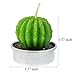 mifengda 12 PCS Cute Succulent Cactus Candles Smokeless Cactus Tealight Candles Delicate Decorative Candles for Valentine's Day Birthday House-Warming Party Wedding Spa Home Decoration Gifts