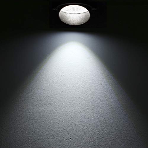 ProGreen Outdoor LED Landscape Lights, 5W LED Decorative Spotlight Lamp Ground Spike, 6000k Cool White LED Wall Lights, Waterproof IP65 LED Garden Lighting (2 Pack)