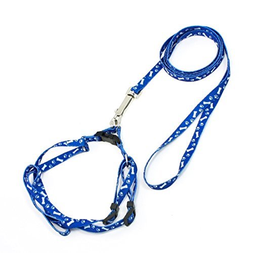 Amazoncom Edealmax Os Imprimer Collier De Chien Doggie
