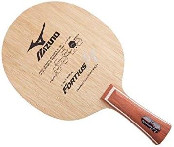 mizuno ping pong