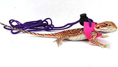 Ogle Lizard Leash, Limited Edition Fluorescent Pink (Small)