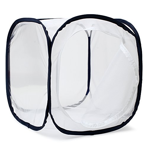 4 Insect+Butterfly+Habitat+Terrarium+Pop+up