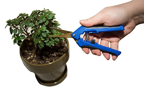 Happy Hydro 4 Pack Curved Tip Trimming Scissors Spring-Loaded Comfort Grip Handles Titanium Coated Blades