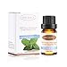 Peppermint Essential Oil, Oak Leaf 100% Pure Therapeutic Grade Aromatherapy Essential Oils Scented Oil, 10mL