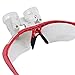 Zinnor Dentist Dental Surgical Medical Binocular Loupes Optical Glass Loupe 3.5X420mm (FBA Delivery)