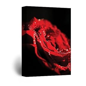 Canvas Wall Art - Red Rose Petal with Dewdrops - Giclee Print Gallery Wrap Modern Home Art Ready to Hang - 12x18 inches