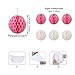 Baptism Decorations for Girls with 6pcs Paper Honeycombs, Baptism Banner Confirmation Communion Decorations