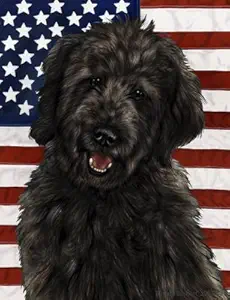 Best of Breed Goldendoodle Black Patriotic II Garden Flags