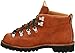 Danner Men's Mountain Trail Boot