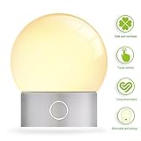 Night Lights for Kids，Lighting Night Light，Home Feeding Reading Lamp，Bedside Nursery Eye Caring, Decorate Corridor Studyroom Cordless Bedside Lamp with Touch Control Adimmable Brightness