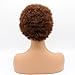 ALICE Afro Wig 4