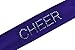 Funny Girl Designs CHEER Rhinestone Cotton Stretch Headband (Purple)