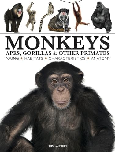 All Apes Great and Small: Volume 1: African Apes (Developments in