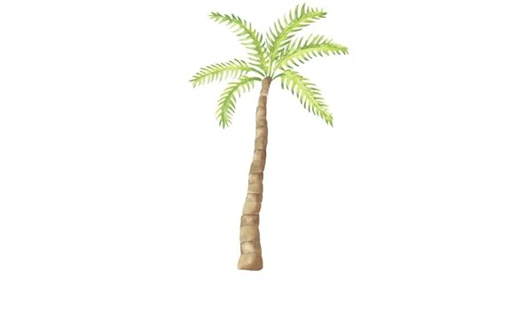 Amazon Com Designer Stencils Small Palm Tree Wall Stencil Sku
