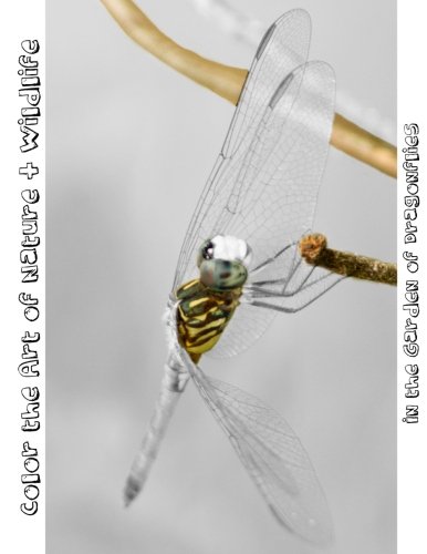 In the Garden of Dragonflies: Color the Art of Nature + Wildlife