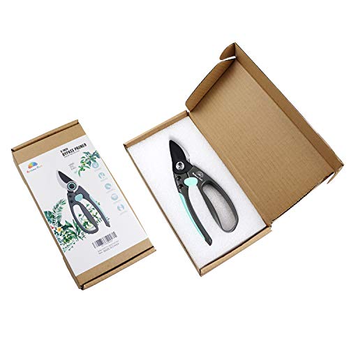Rainbow Craft 8'' Bypass Pruner Shear, Rose Cutters, Herbs Scissors, Plant Trimming Shears for Garden&Lawn - Blue Color - Thumbnail 6