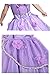 Little Girls Princess Sofia Costume Dress up Cosplay Fancy Party Dress (5/6,130)