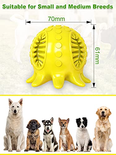 CADO SHY Dog Toys for Small Dogs Breed Puppies, Squeaky Dog Chew Toy for Aggressive Chewers, Interactive Teething Cleaning Chewing Toy Indestructible, Suitable for 20-50lbs Small and MediumDogs