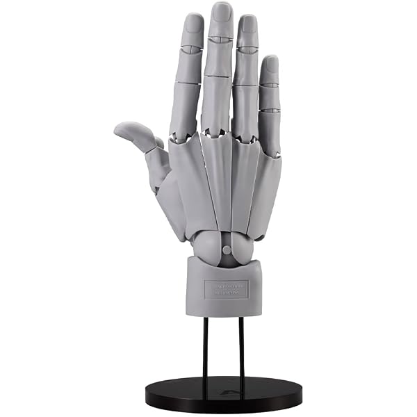 Amazon.com: Kotobukiya ARTIST SUPPORT ITEM 1/1 Scale Hand Model R