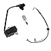 QHALEN Ignition Coil With Spark Plug for Stihl Chainsaw MS361