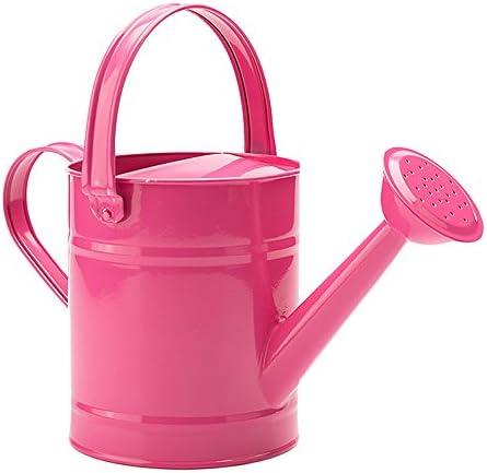 FLYING BALLOON Multi-Color Metal Watering Can and Plastic Watering Pot Set for Garden, Rose Pink/Green/Blue