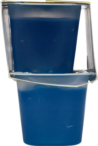 SNACK PACK SOUR PATCH KIDS BLUE RASPBERRY FLAVORED JUICY GELS CUPS, 3.25 OZ., 6-COUNT