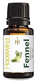 Fennel (Sweet) Essential Oil, 100% Pure Essential Oil, Best Quality, Therapeutic grade, Undiluted essential oil, 15ml/0.5oz-by HopeWind Health