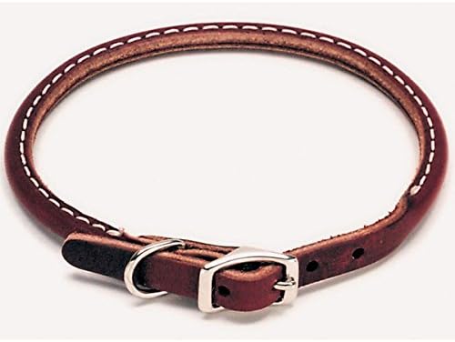 circle t rolled leather dog collar