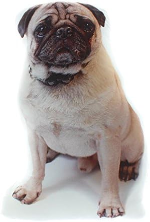 Dog Themed Decorative Accent Pillow, Fawn Pug, Approx 14" x 8"