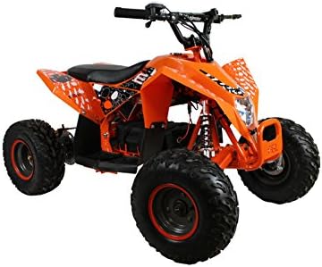 E-Madix 1000w Electric Outdoor Kids Mini ATV Quad (White)