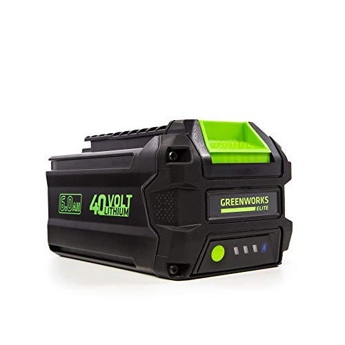 Greenworks L-600 40V 6AH Smart Lithium-Ion USB Battery, 6.0 Ah
