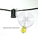 RELIRELIA 25 Ft G40 String Lights with 25 Globe Lights (Plus 5 Extra Bulbs) for Indoor & Outdoor Use - Perfect for Wedding Lights, Bedroom Lighting, Patio Lights, Dancing Lights, Party Light & More