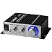 Lepai LP-2020TI Digital Hi-Fi Audio Mini Class D Stereo Amplifier with Power Supplythumb 4