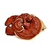 Grow Your Own Mushrooms Kit – Colonized Reishi Mushrooms – up to 4 lbsthumb 1
