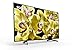 Sony X800G 65 Inch TV: 4K Ultra HD Smart LED TV with HDR and Alexa Compatibility – 2019 Modelthumb 2