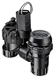 Rain Bird JTVAS075 Jar Top Anti-Siphon Valve, 3/4