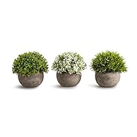 Opps Artificial Plastic Mini Plants Unique Fake Fresh Green Grass Flower in Gray Pot for Home Décor - Set of 3