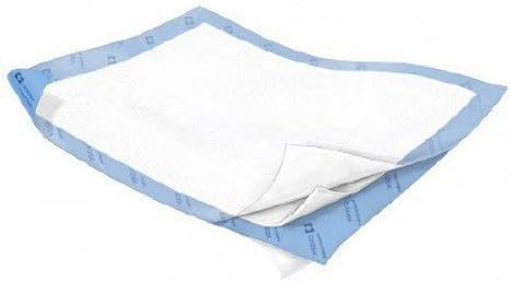 Case of 40 Wings Quilted Heavy Absorbency Fluff Underpad 30 X 36 Inch