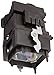 Generic Replacement for Sony XL-5100 Replacement Lamp w/Housing 6,000 Hour Life & 1 Year Warranty primary