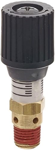 Control Devices CR Series Brass Pressure Relief Valve, 0-100 psi Adjustable NEW