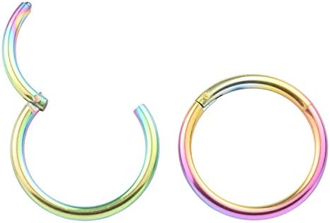 Unisex 16G Surgical Stainless Nose Hoop Ring Earring Hinged Clicker Seamless Segment Helix Daith Cartilage Lip Piercing 10mm 2pcs
