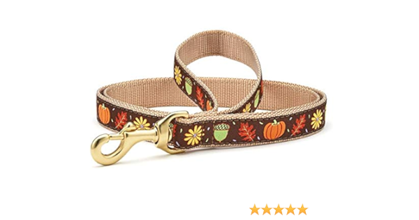 up country dog leash